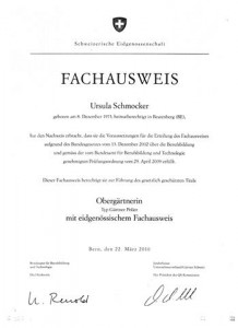 obergärtner (Copy)