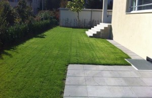 cropped-IMG_1418-Copy.jpg