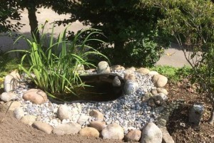 Biotope aller Art